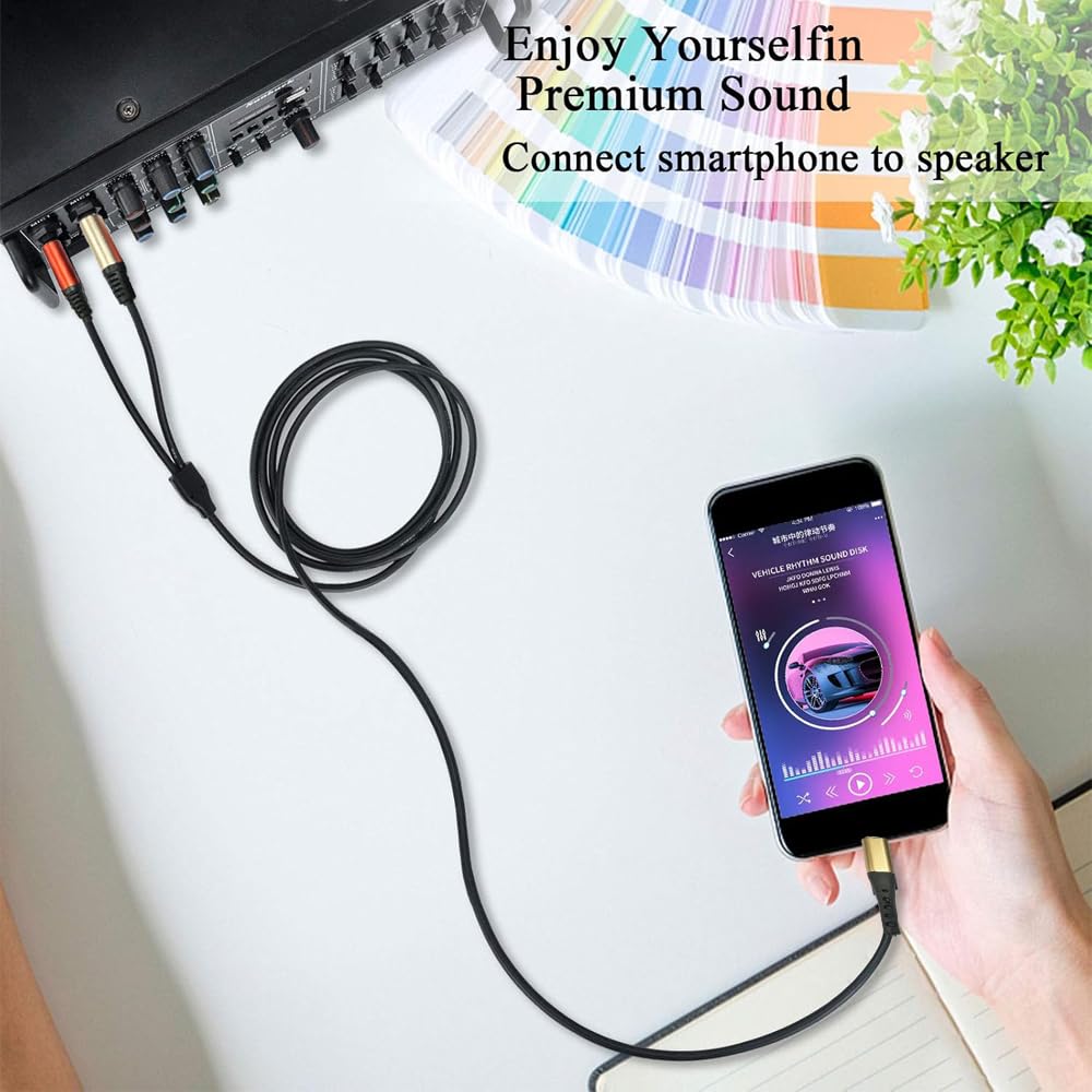 MR Type C to 2 Mono Audio Cable | USB Type-C to Dual 6.35mm Mono Jack Cable | Stereo to Dual Mono Audio Cable for Mixer, Amplifier & Audio Equipment Description